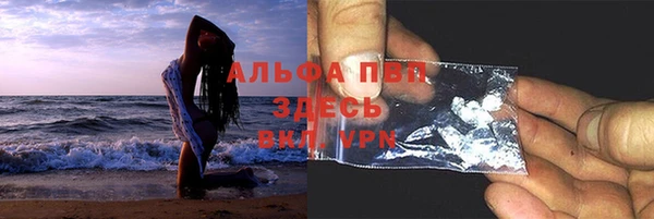 прущие грибы Армянск
