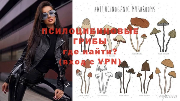 винт Арсеньев
