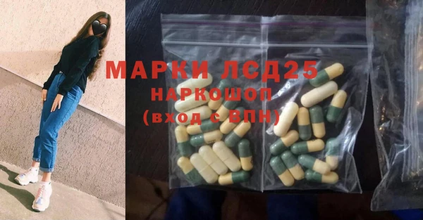 прущие грибы Армянск