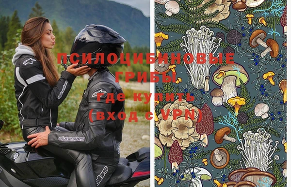 винт Арсеньев